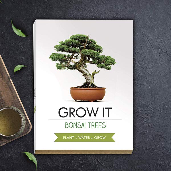 Grow it - Bonsai