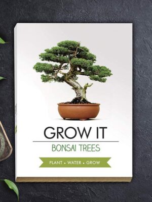 Grow it - Bonsai