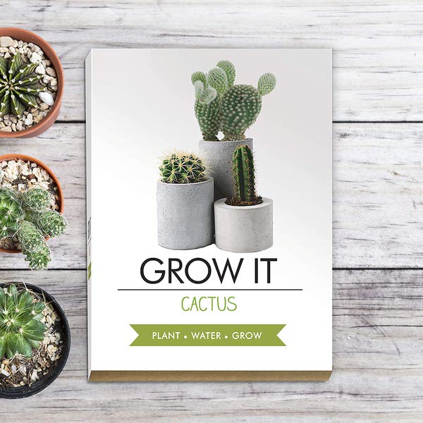 Grow it - kaktus