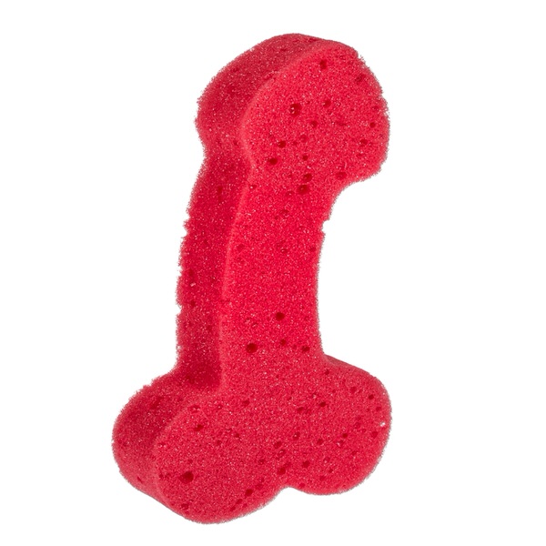 Špongia penis